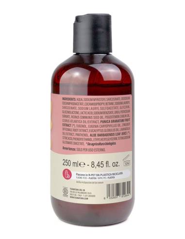 Tea Natura Bagnoschiuma Idratante con Zenzero e Melograno Retro