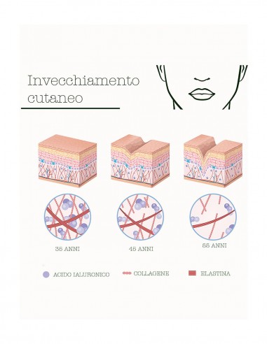 La Saponaria Ecofermentato Attivatore