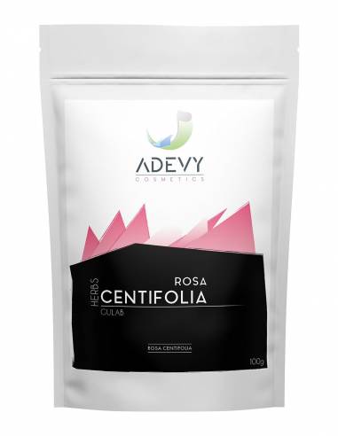 Adevy Rosa Centifolia (Gulab)