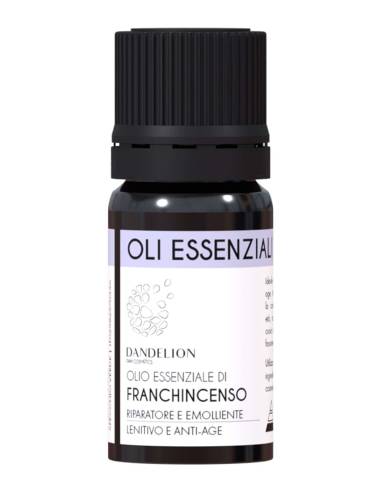 Dandelion Olio Essenziale di Franchincenso