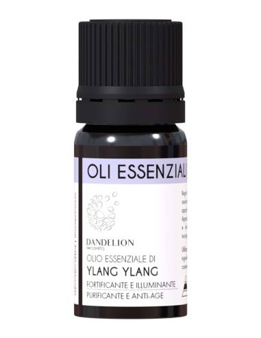 Dandelion Olio Essenziale di Ylang Ylang