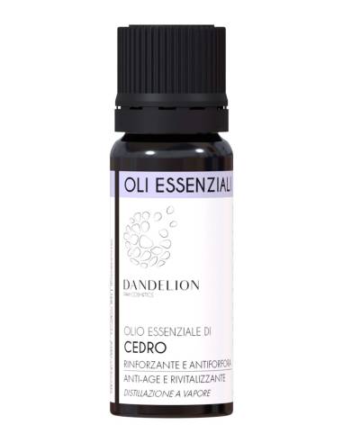Dandelion Olio Essenziale di Cedro