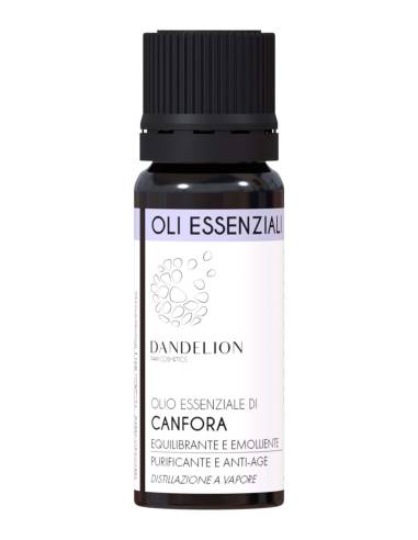 Dandelion Olio Essenziale di Canfora
