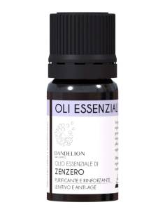 Dandelion Olio Essenziale di Zenzero