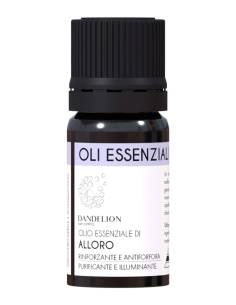 Dandelion Olio Essenziale di Alloro