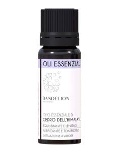 Dandelion Olio Essenziale di Cedro dell'Himalaya