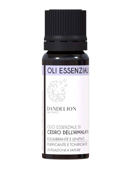 Dandelion Olio Essenziale di Cedro dell'Himalaya